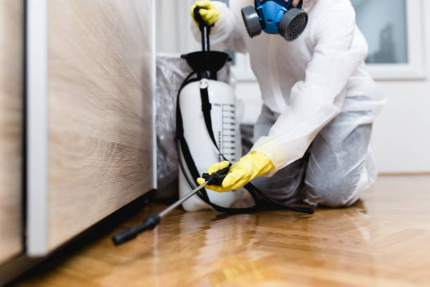 Best Best Pest Control Companies  in Chimayo, NM