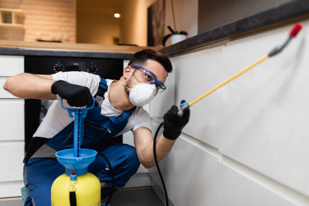 Best Affordable Pest Control Services  in Chimayo, NM