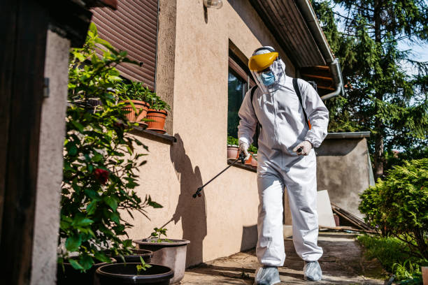 Best Wasp Removal Services  in Chimayo, NM