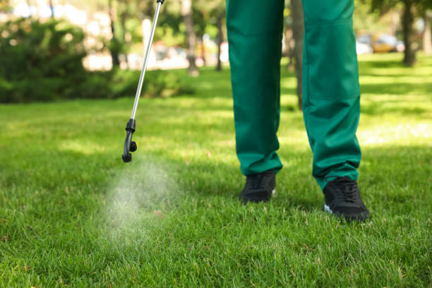 Professional Pest Control in Chimayo, NM
