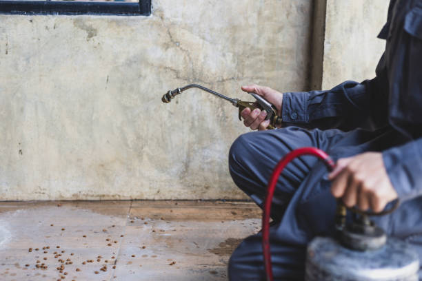Best Best Pest Control Companies  in Chimayo, NM